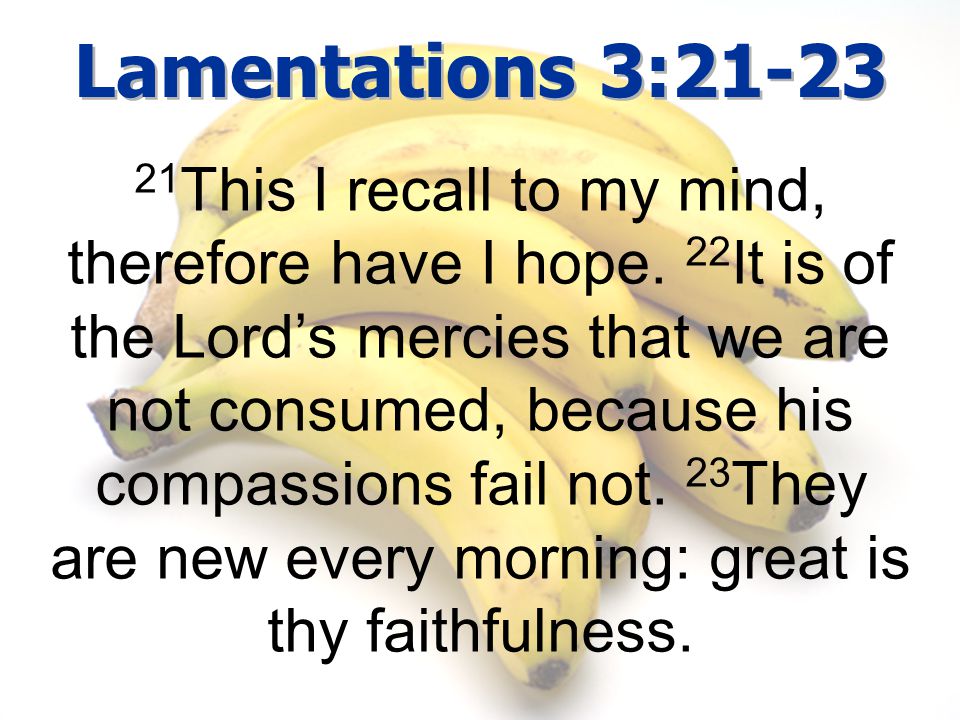Lamentations 3:21-23