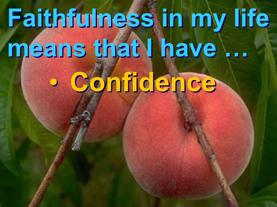 Faithfulness in my life means that I have …