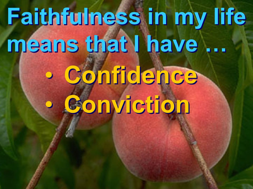 Faithfulness in my life means that I have …