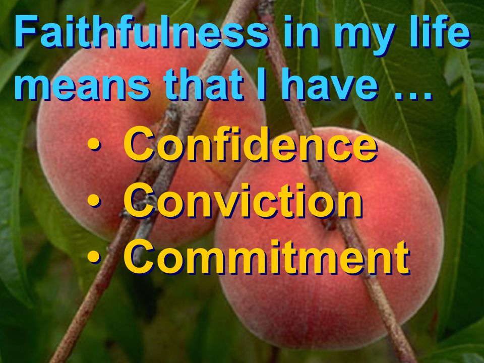 Confidence Conviction Commitment