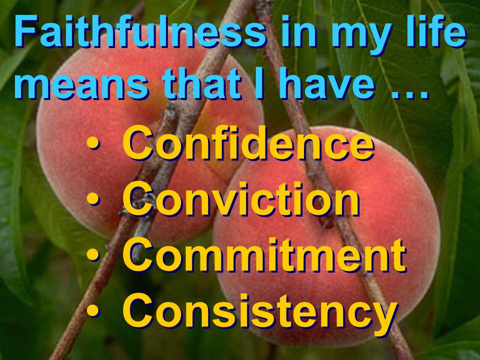 Confidence Conviction Commitment Consistency