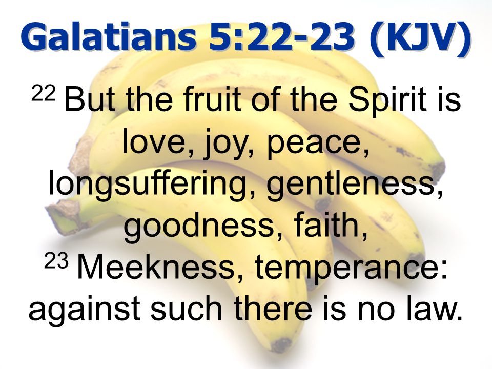 23 Meekness, temperance: against such there is no law.