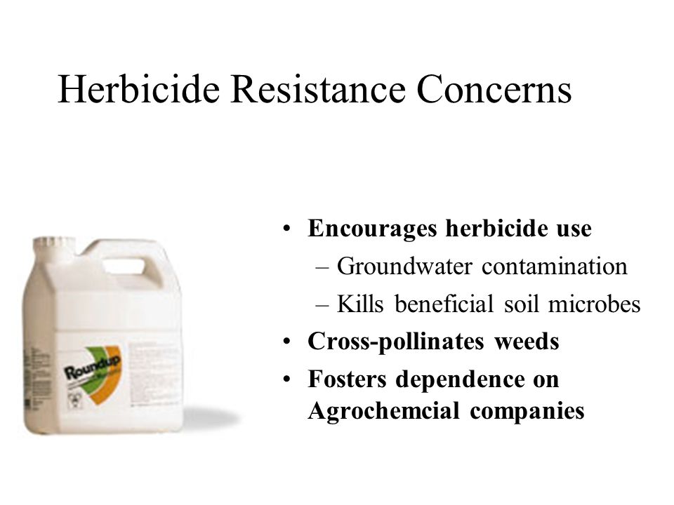 Herbicide Resistance Concerns