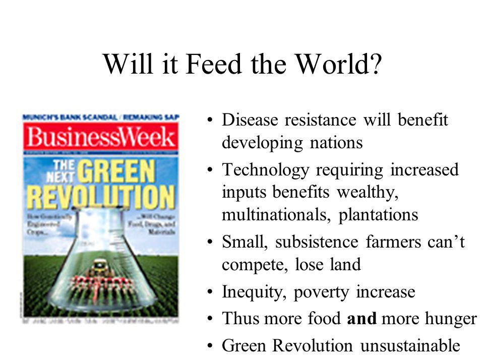 Will it Feed the World Disease resistance will benefit developing nations.