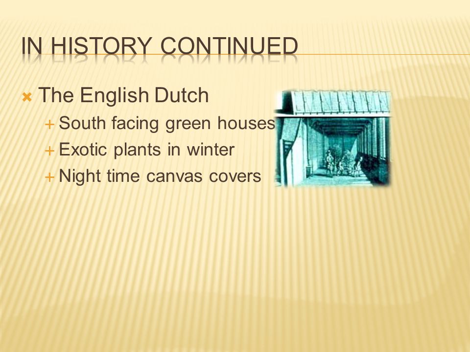 In history continued The English Dutch South facing green houses