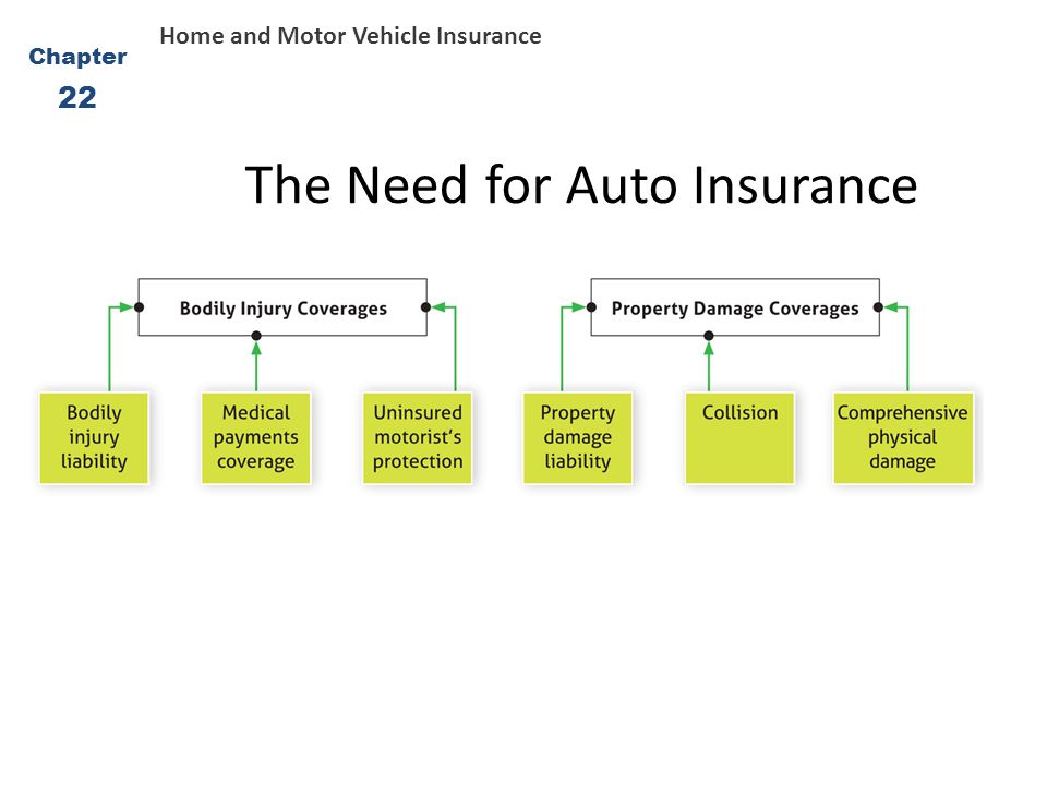 The Need for Auto Insurance
