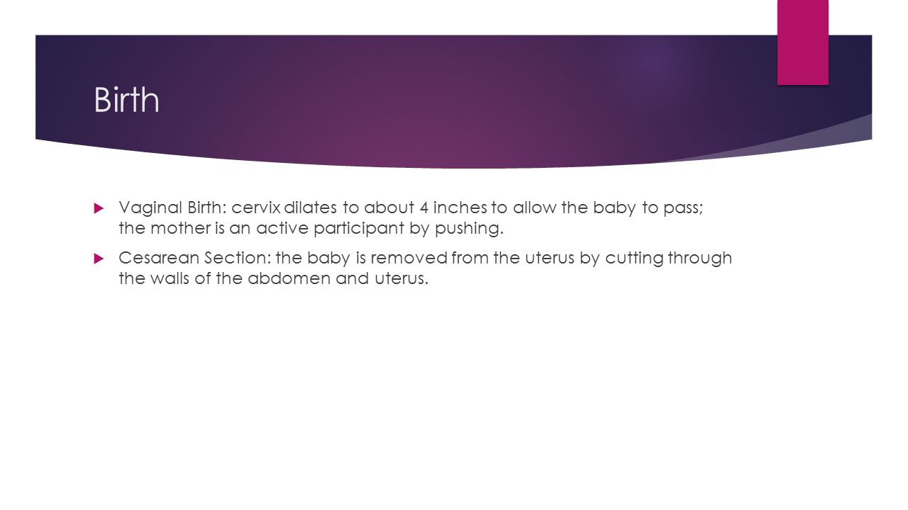 Birth Vaginal Birth: cervix dilates to about 4 inches to allow the baby to pass; the mother is an active participant by pushing.