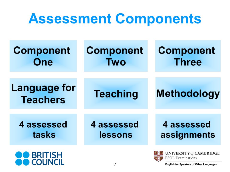 Assessment Components