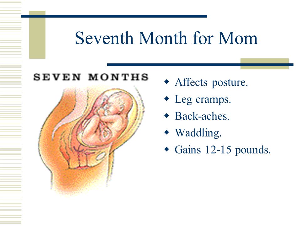Seventh Month for Mom Affects posture. Leg cramps. Back-aches.