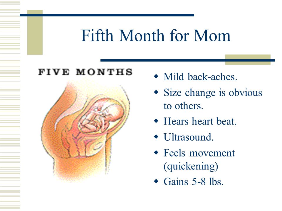 Fifth Month for Mom Mild back-aches. Size change is obvious to others.