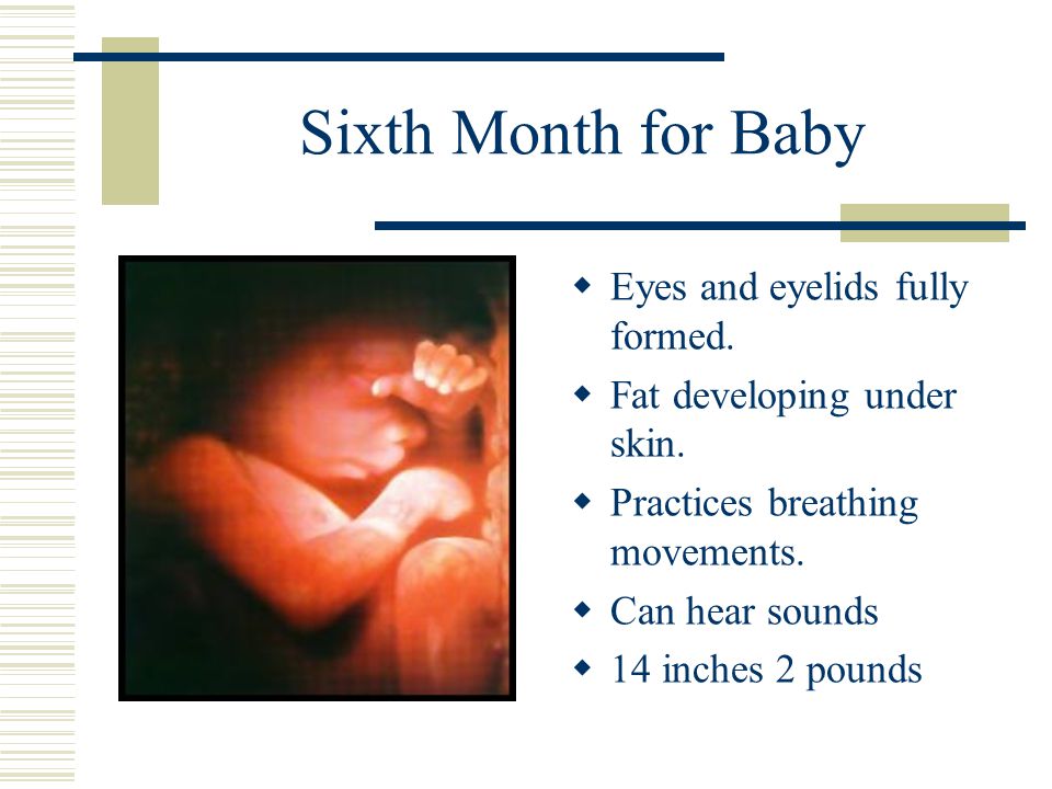 Sixth Month for Baby Eyes and eyelids fully formed.