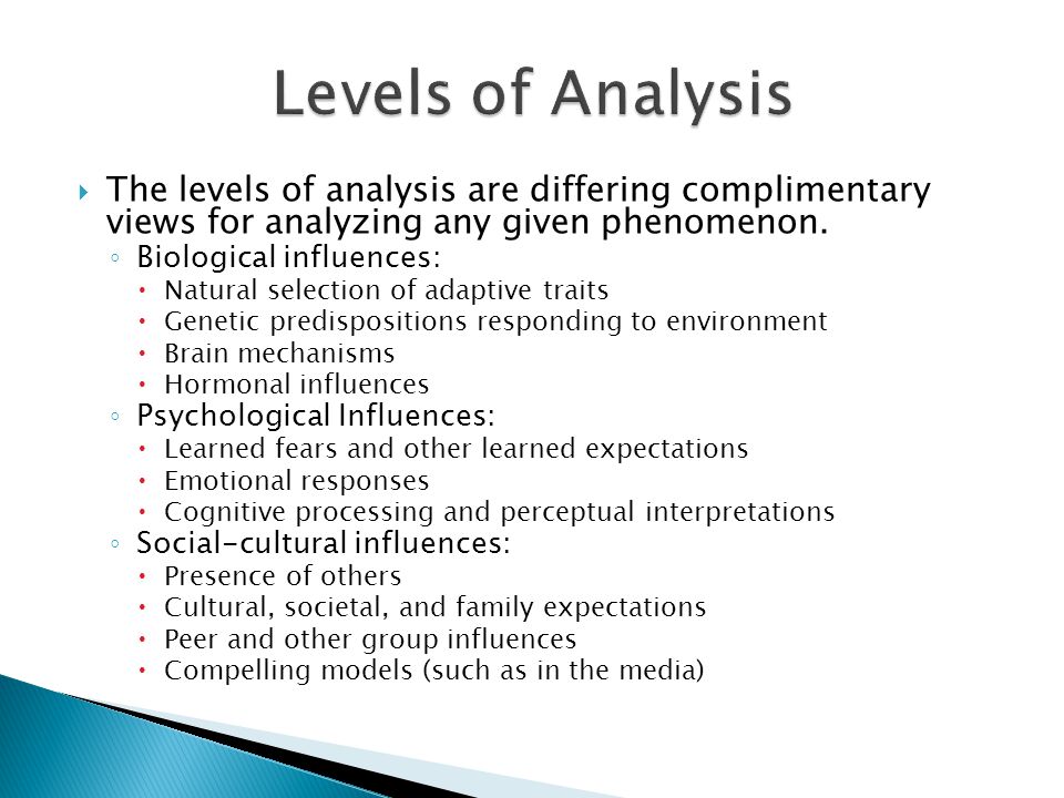Levels of Analysis The levels of analysis are differing complimentary views for analyzing any given phenomenon.