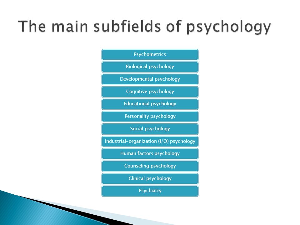 The main subfields of psychology