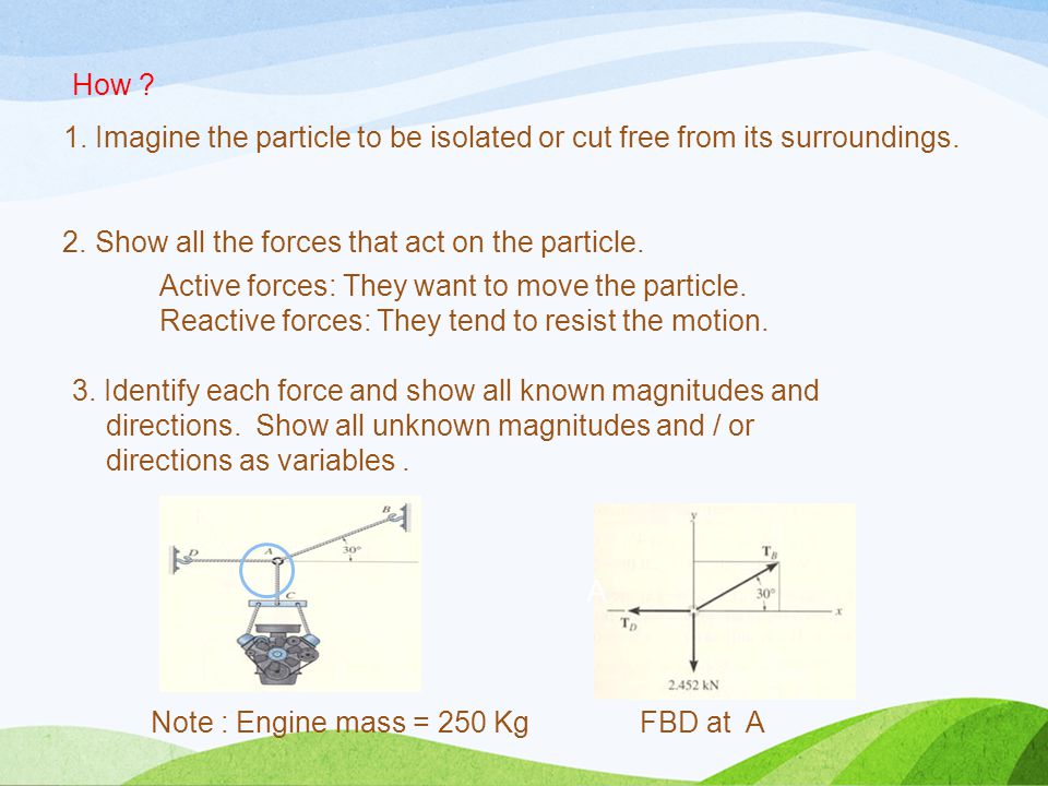 2. Show all the forces that act on the particle.