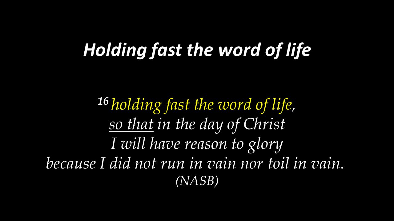 Holding fast the word of life
