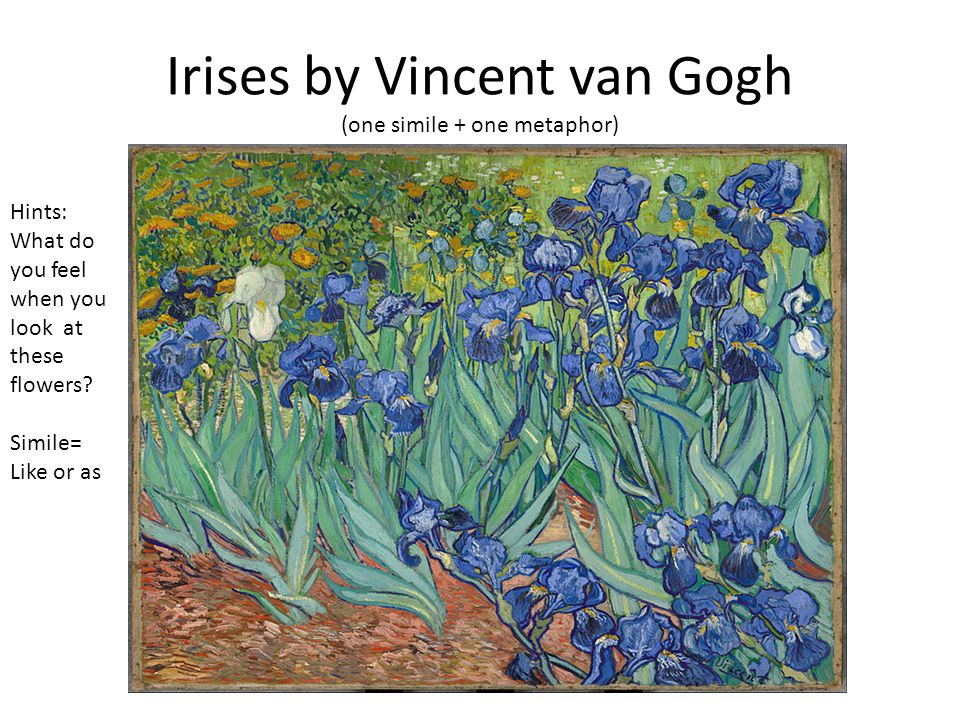 Irises by Vincent van Gogh (one simile + one metaphor)