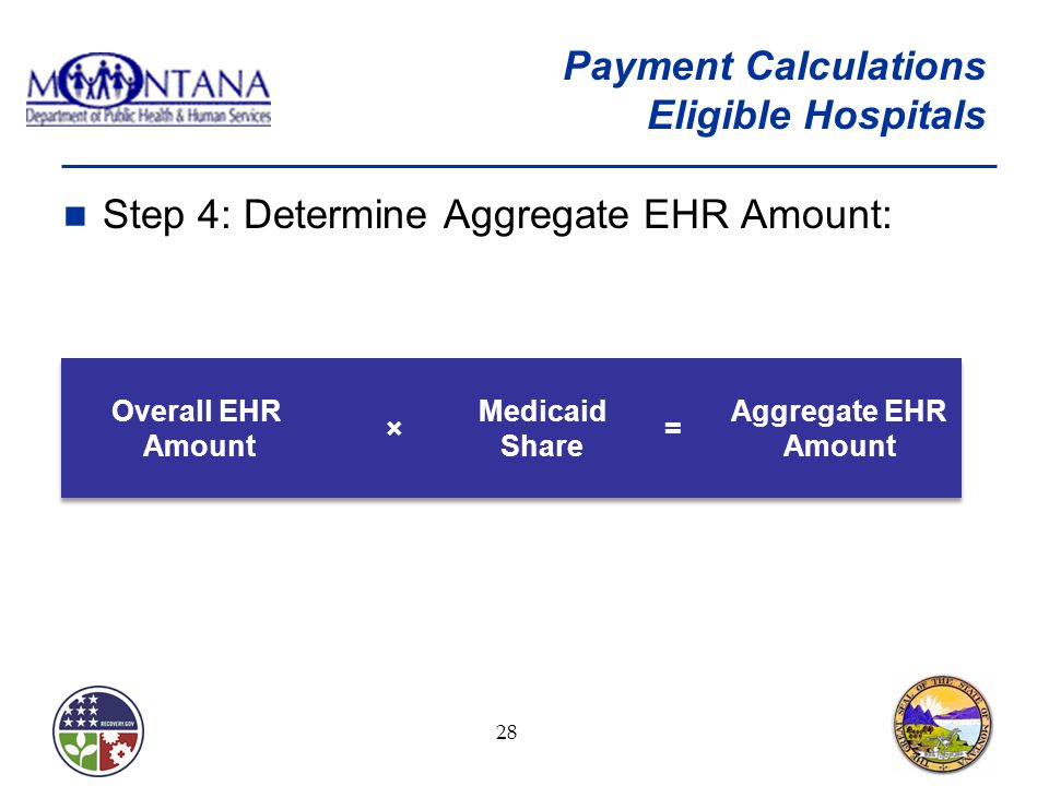 Step 4: Determine Aggregate EHR Amount: