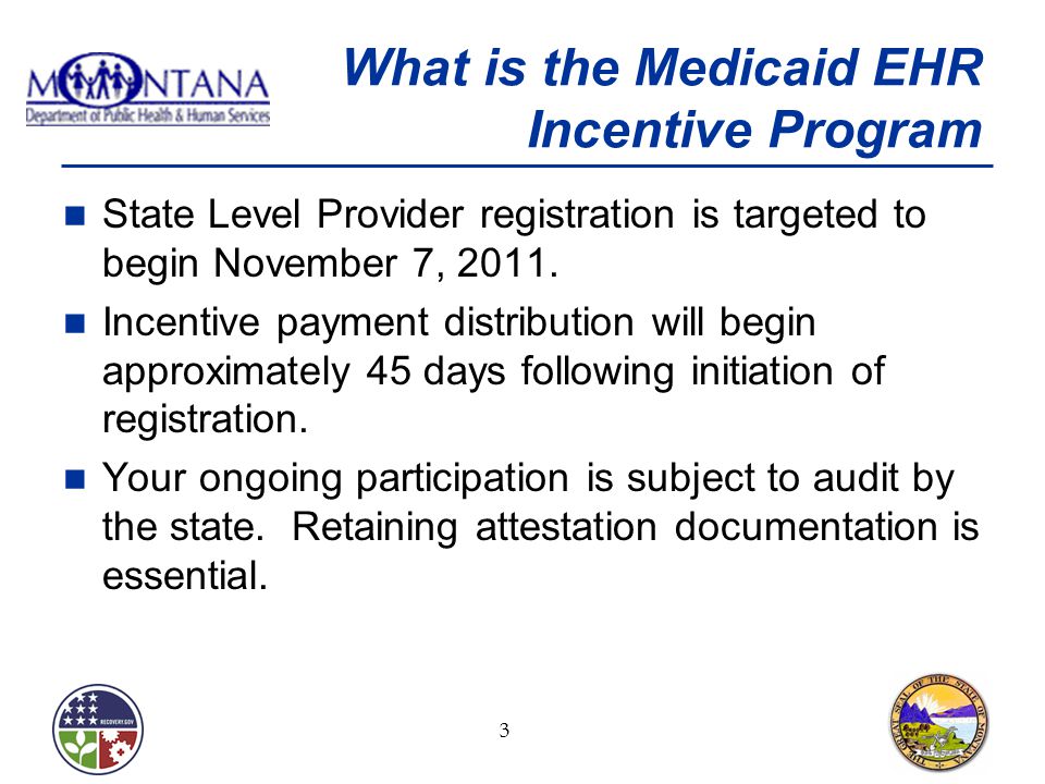 What is the Medicaid EHR Incentive Program