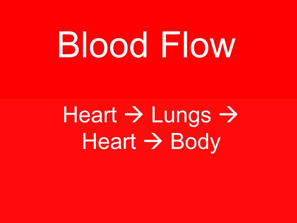 Heart  Lungs  Heart  Body