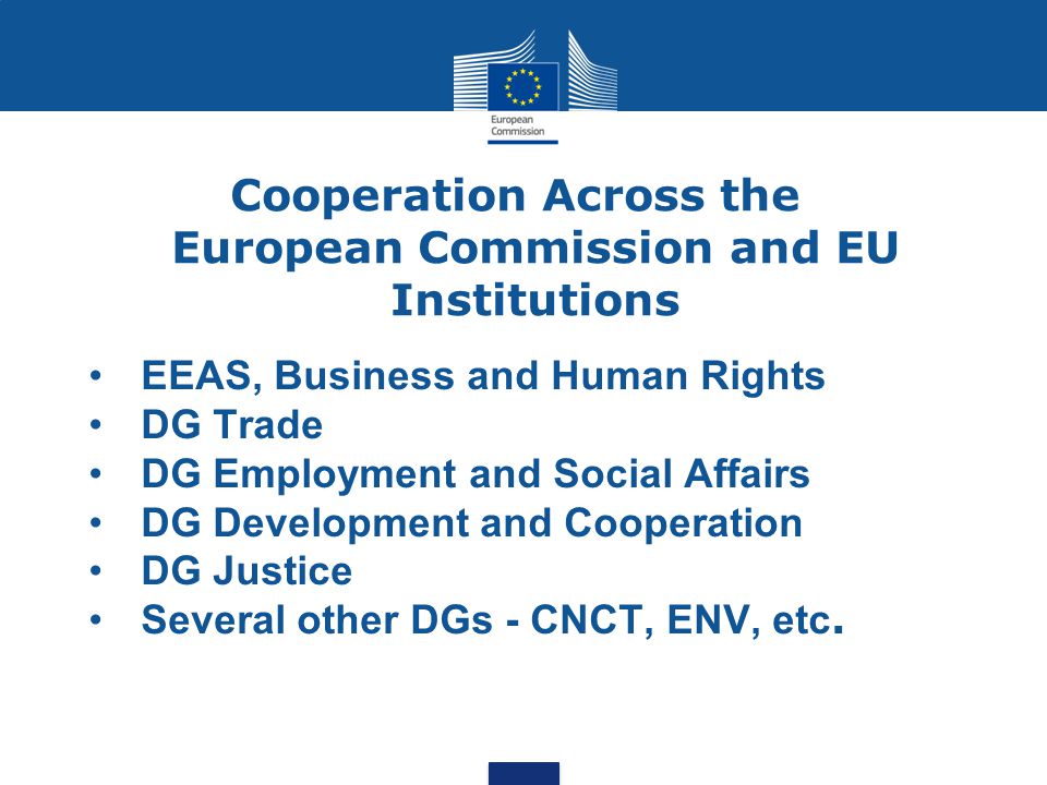 Cooperation Across the European Commission and EU Institutions