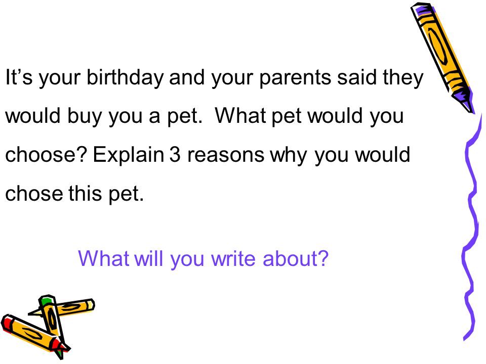 It’s your birthday and your parents said they would buy you a pet