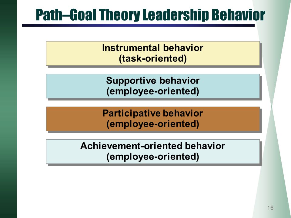 Path–Goal Theory Leadership Behavior