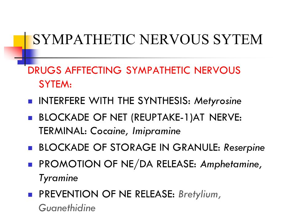 sympathetic nerve,sciaticnerve sympathetic nervous sytem