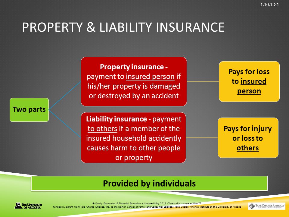 Property & Liability Insurance