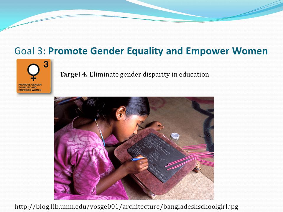 Goal 3: Promote Gender Equality and Empower Women