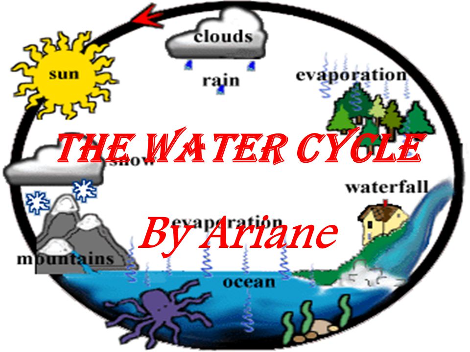 The Water Cycle By Ariane
