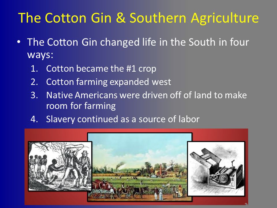 The Cotton Gin & Southern Agriculture