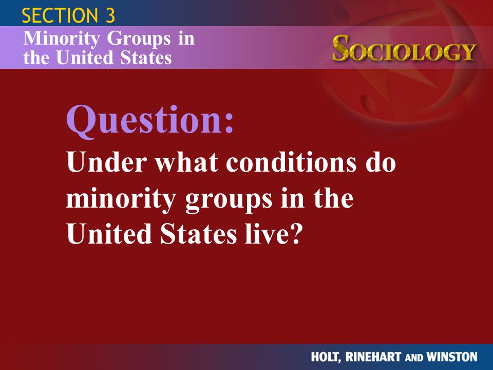 SECTION 3 Minority Groups in the United States.