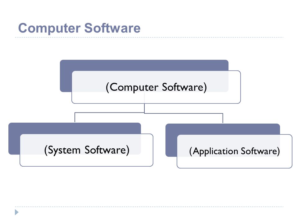 (Application Software)
