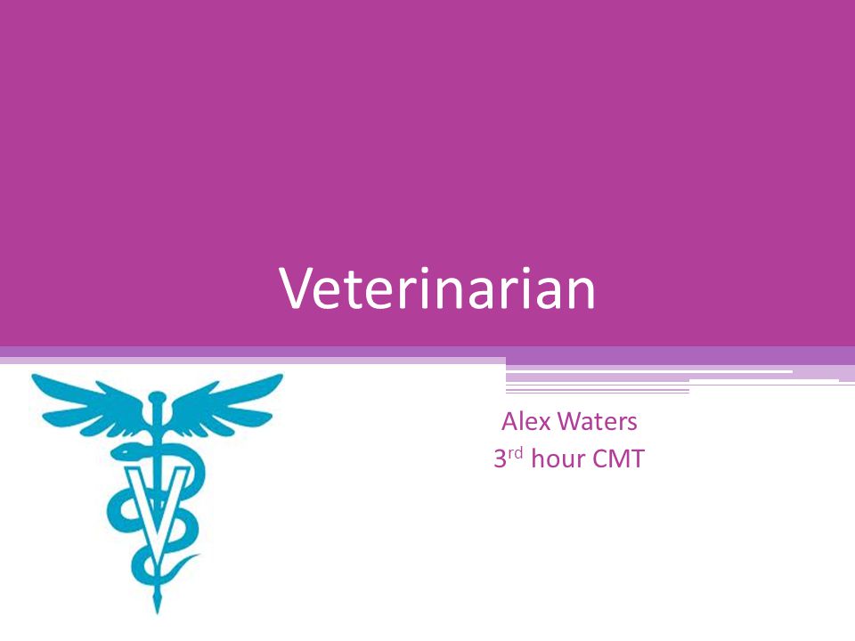 Veterinarian Alex Waters 3rd hour CMT
