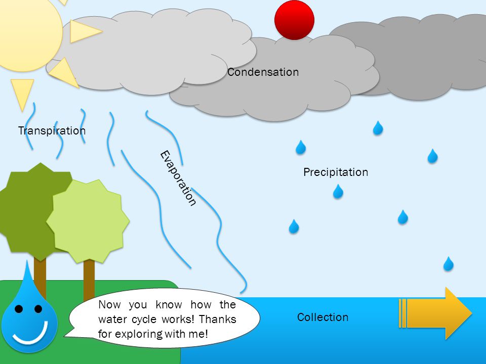 Condensation Transpiration. Precipitation. Evaporation. Now you know how the water cycle works! Thanks for exploring with me!