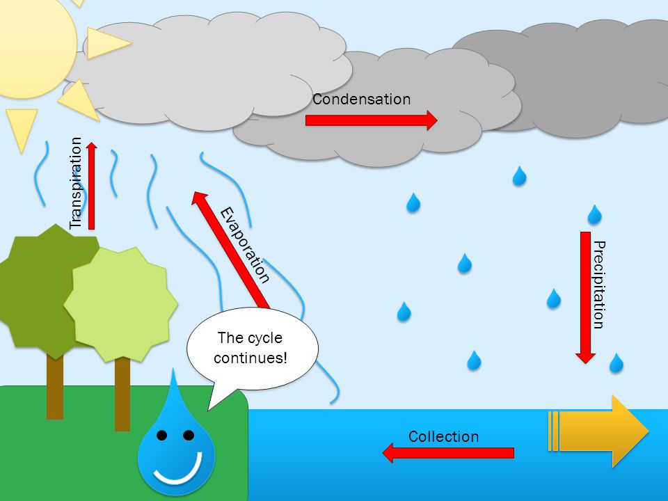 Condensation Transpiration Evaporation Precipitation The cycle continues! Collection
