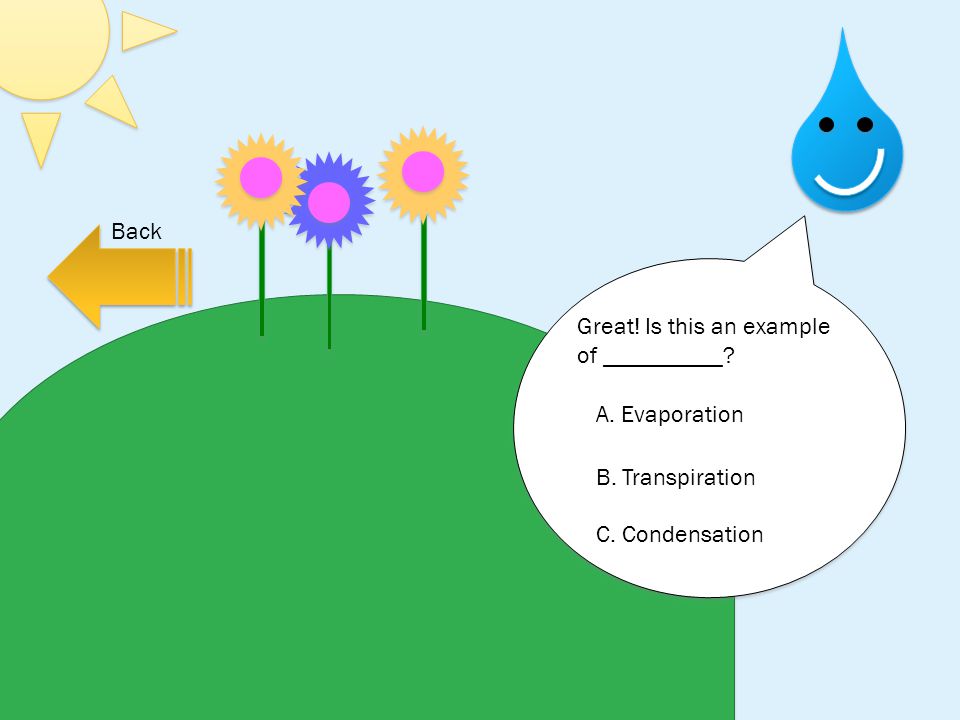 Back Great! Is this an example of __________ A. Evaporation B. Transpiration C. Condensation