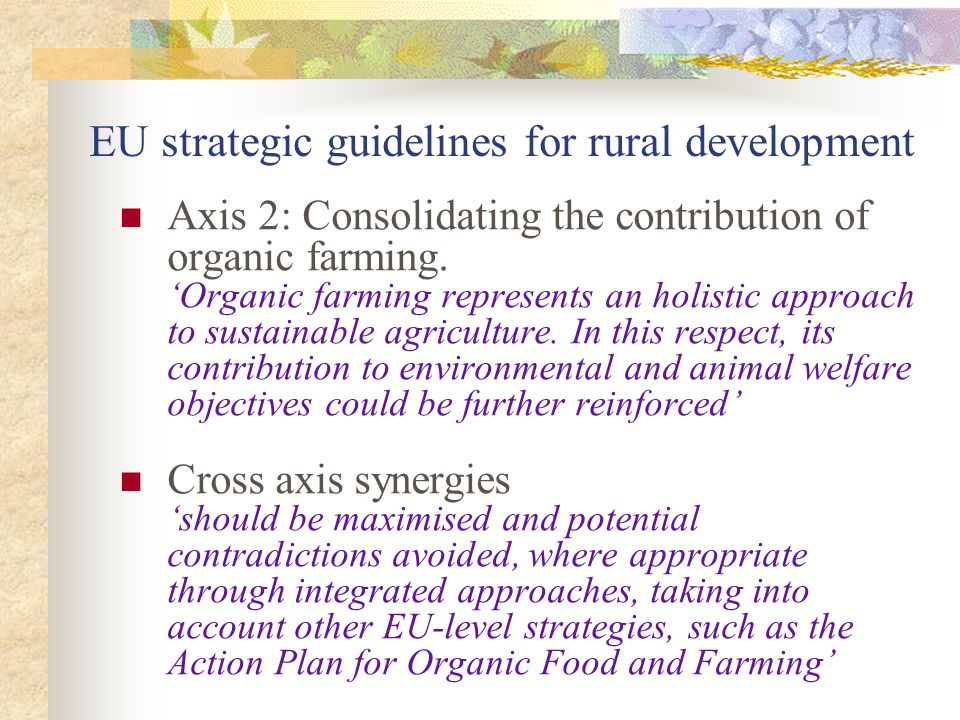 EU strategic guidelines for rural development