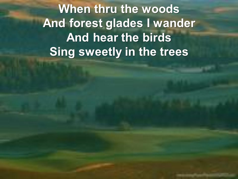 When thru the woods And forest glades I wander And hear the birds Sing sweetly in the trees