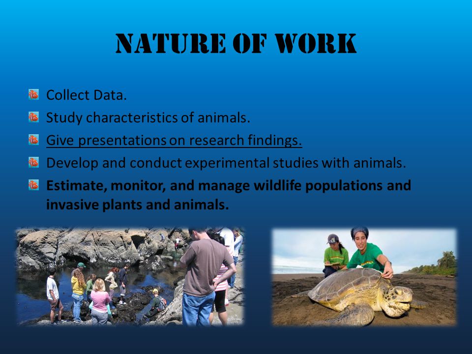 Nature of Work Collect Data. Study characteristics of animals.