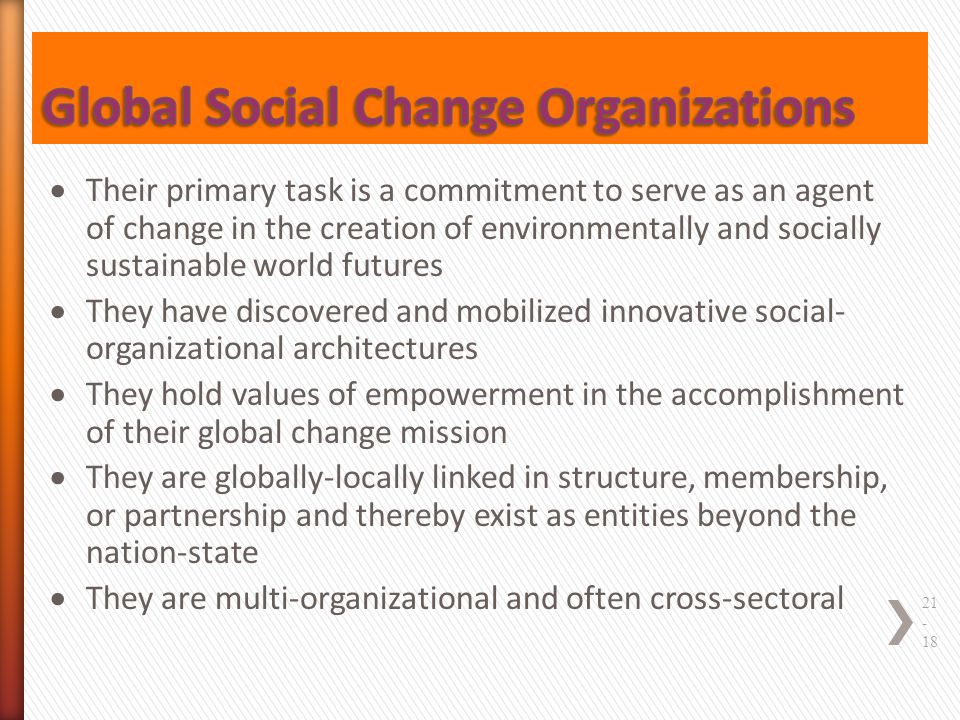 Global Social Change Organizations