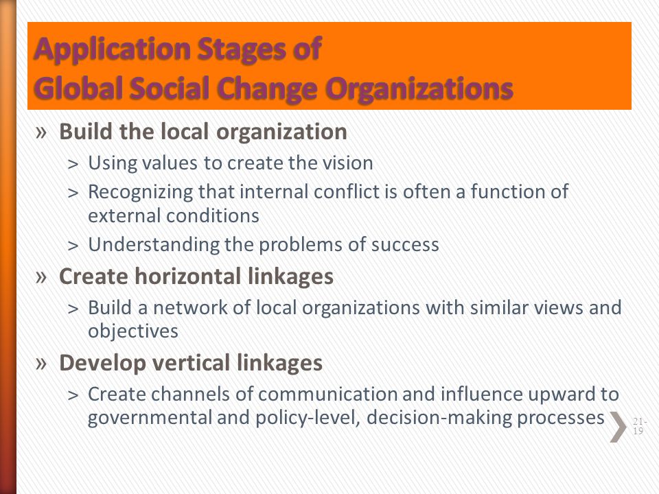 Application Stages of Global Social Change Organizations