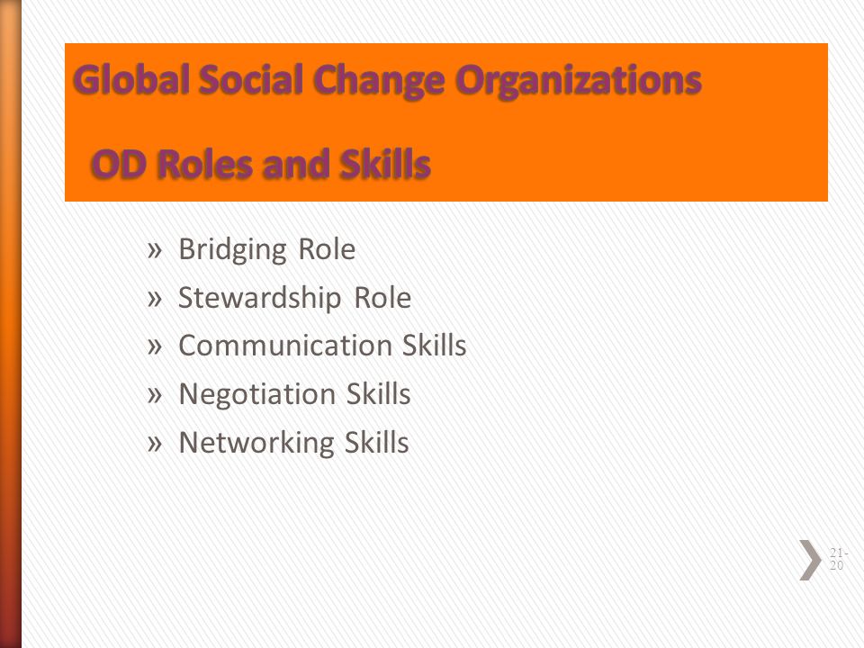 Global Social Change Organizations OD Roles and Skills