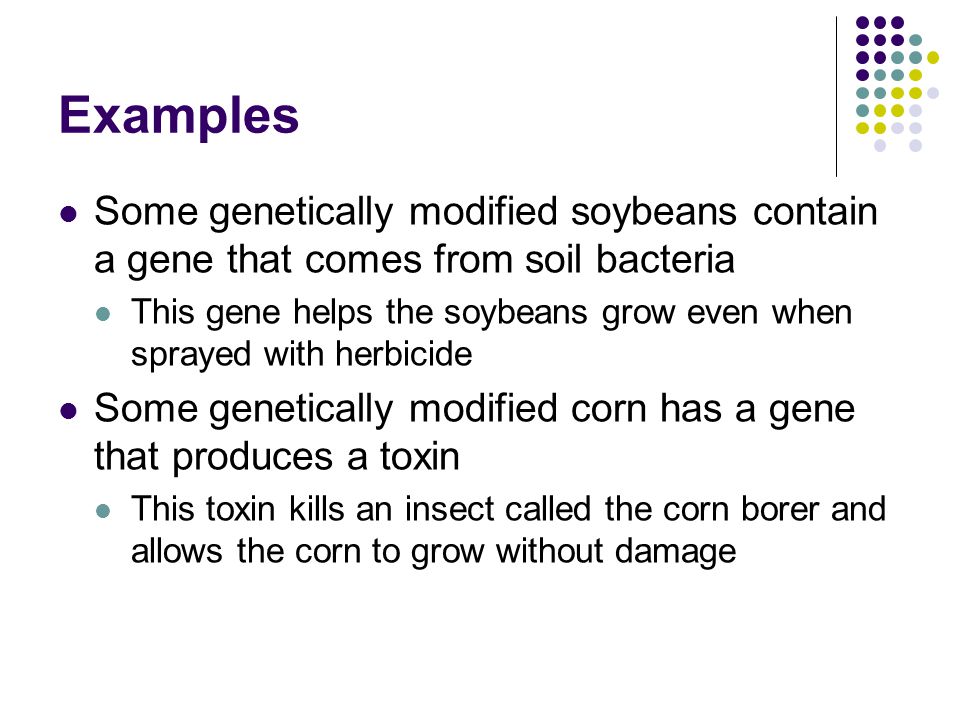 Examples Some genetically modified soybeans contain a gene that comes from soil bacteria.