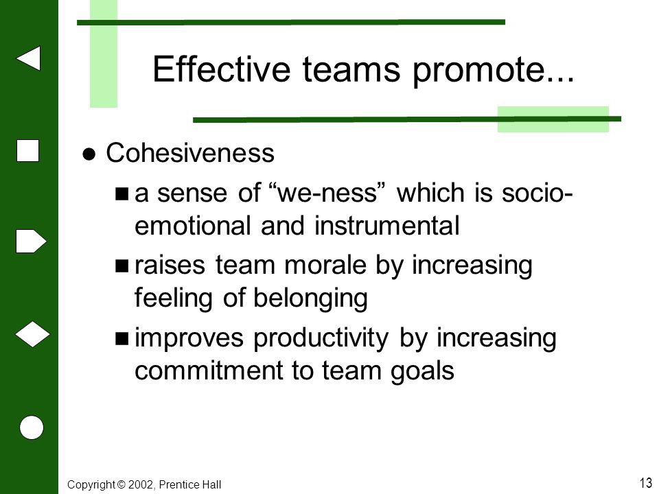 Effective teams promote...