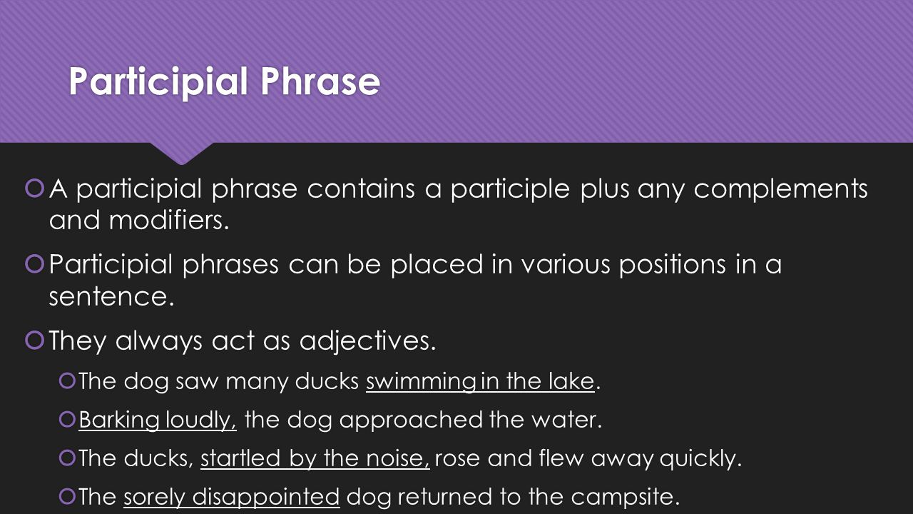 Participial Phrase A participial phrase contains a participle plus any complements and modifiers.