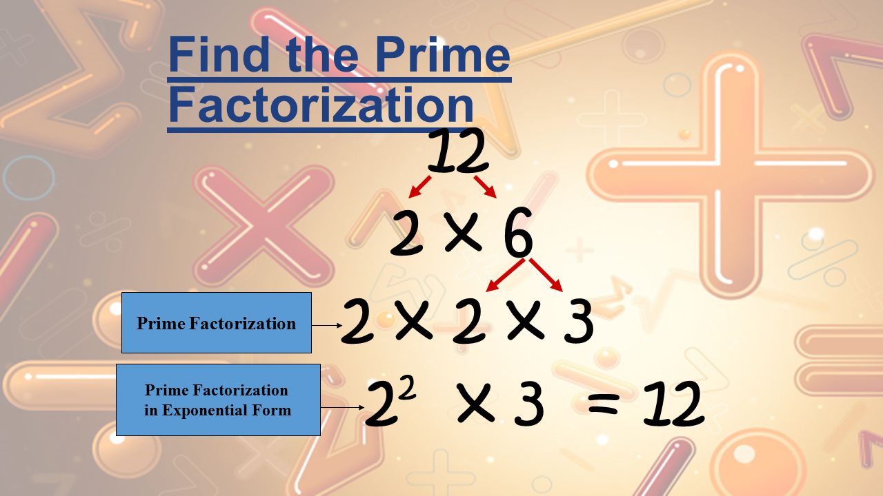 Find the Prime Factorization