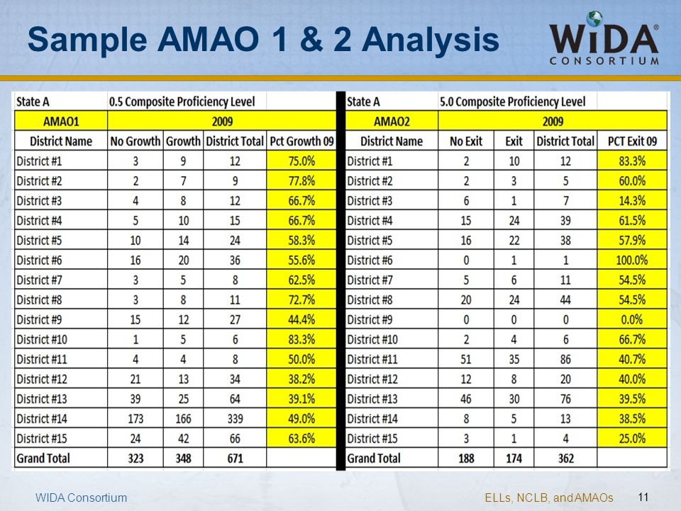 Sample AMAO 1 & 2 Analysis
