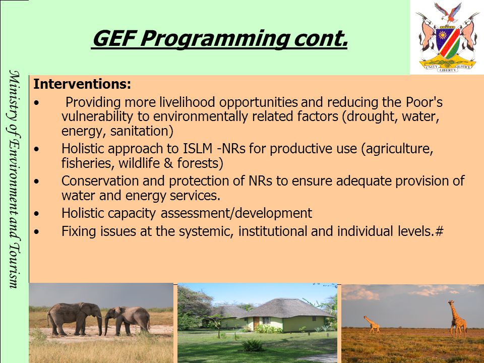 GEF Programming cont. Interventions: