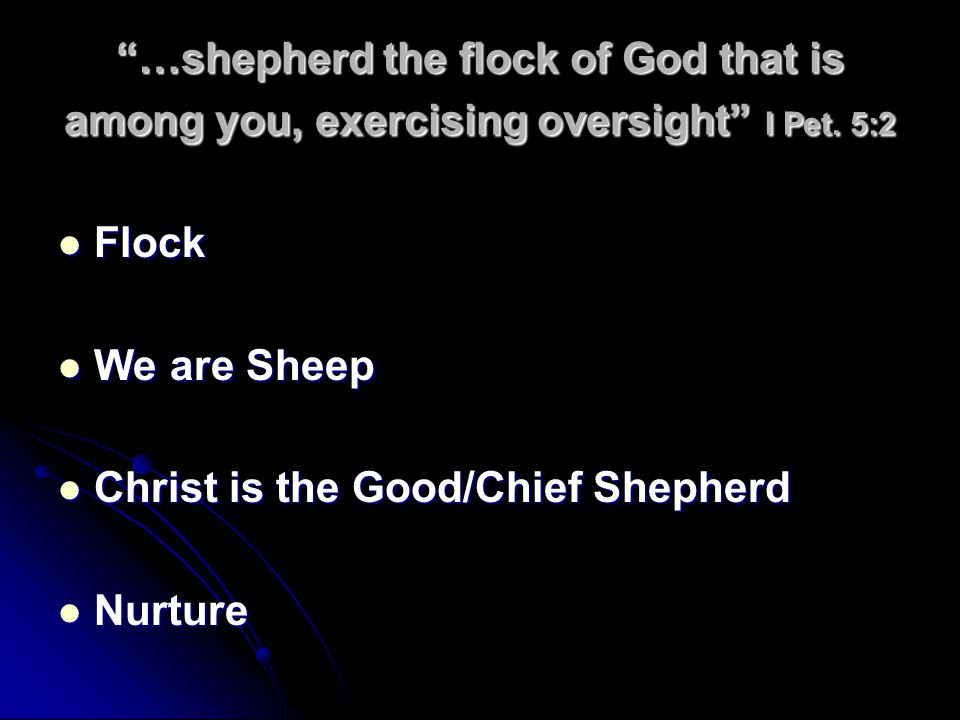 …shepherd the flock of God that is among you, exercising oversight I Pet. 5:2